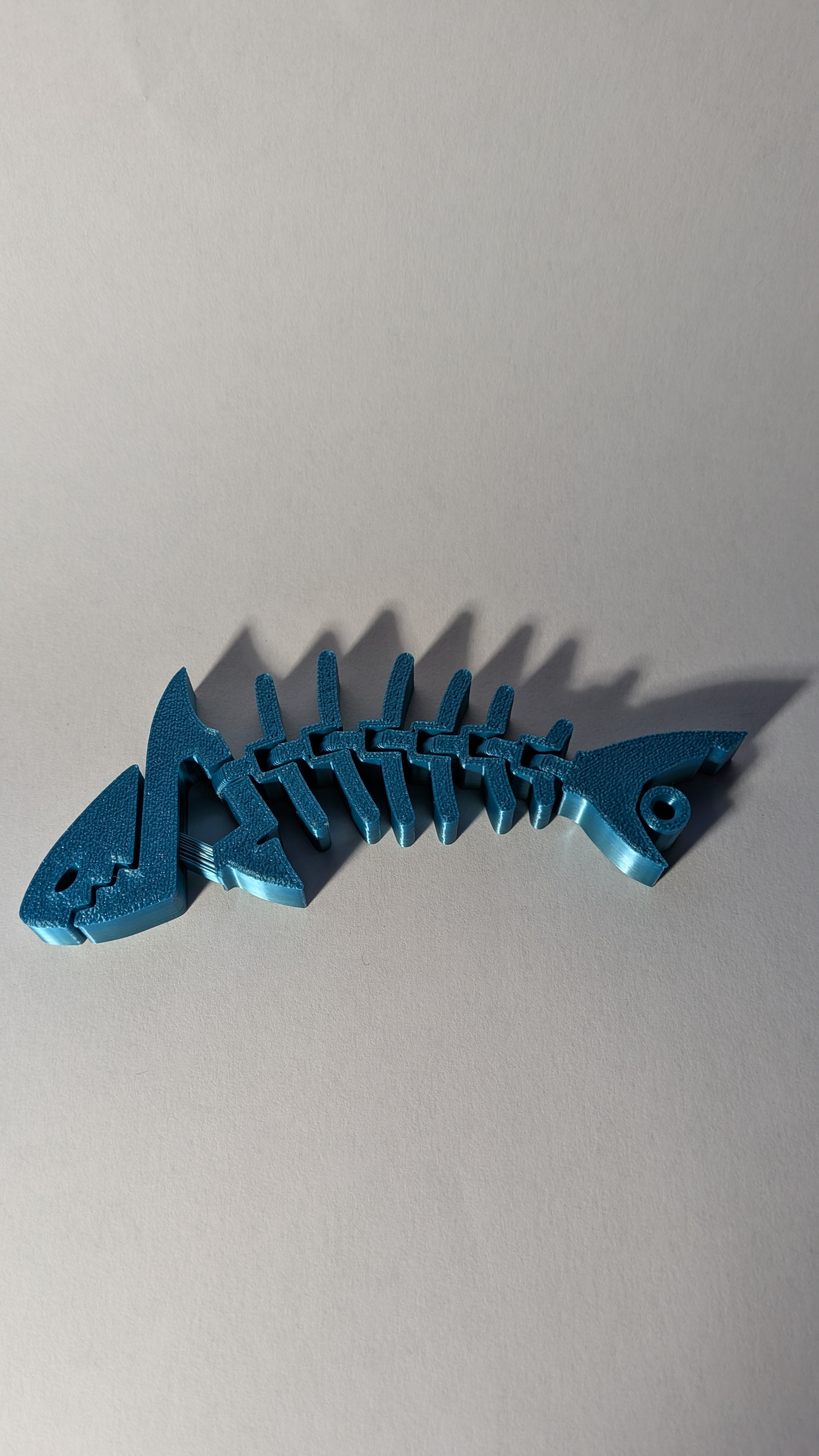 flexi rekinek-OCEAN